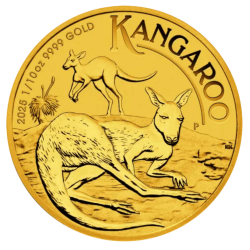 Złota moneta 1/10 uncji Australijski Kangur 2025 r