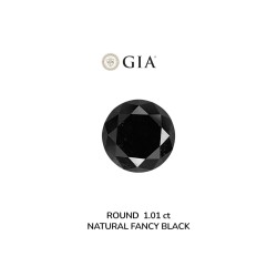 Diament o barwie fantazyjnej szlif okrągły, 1.01ct, VVS2, Fancy Black, GIA 2231634938